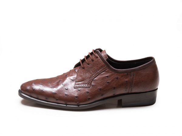 Tabriz Leather shoes